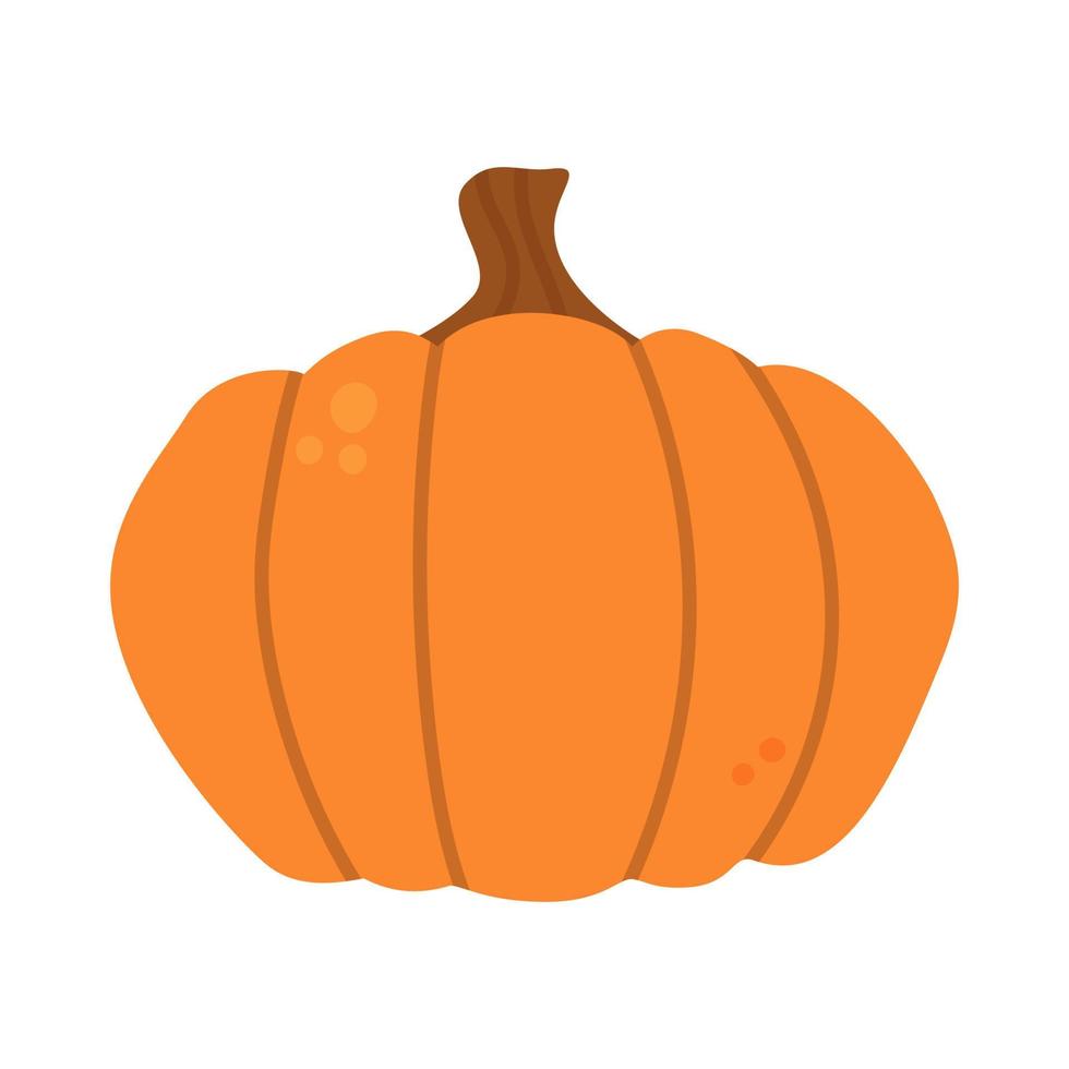 Orange pumpkin in simple cartoon style. Vegetable art. Vector isolated on a white background.