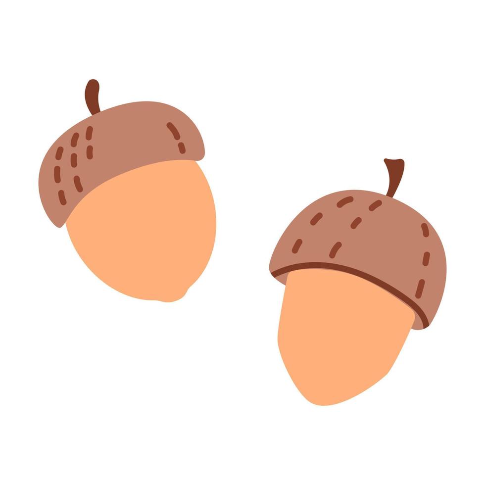 bellotas en estilo de dibujos animados. nueces de otoño dibujadas a mano. arte vectorial aislado sobre fondo blanco. vector