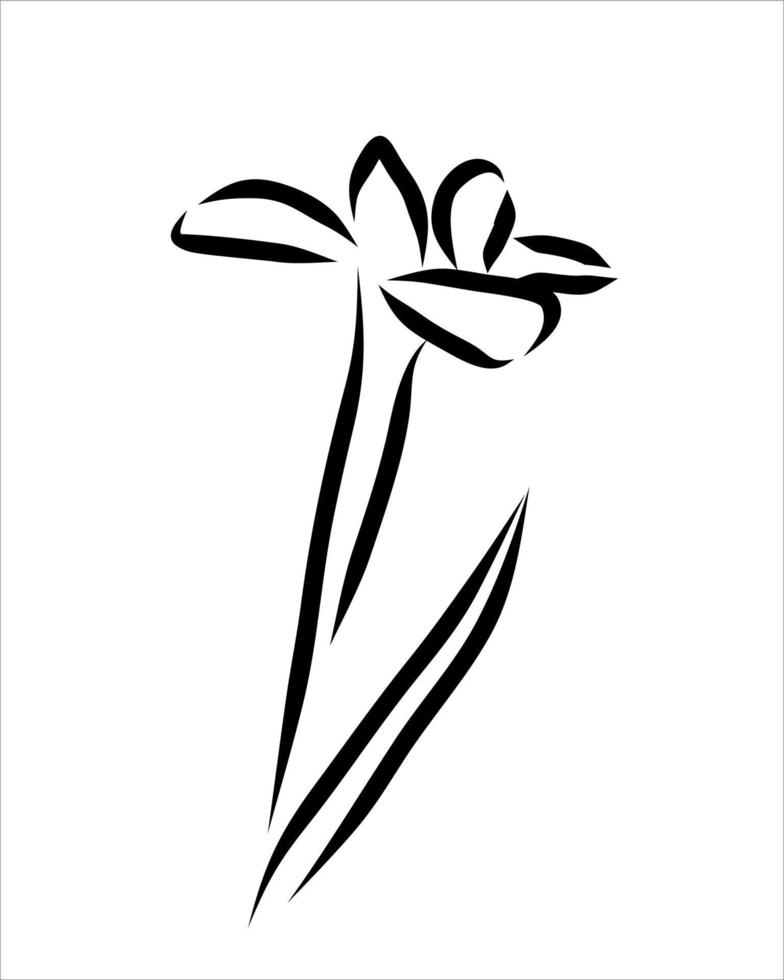 Line drawing of flower vector