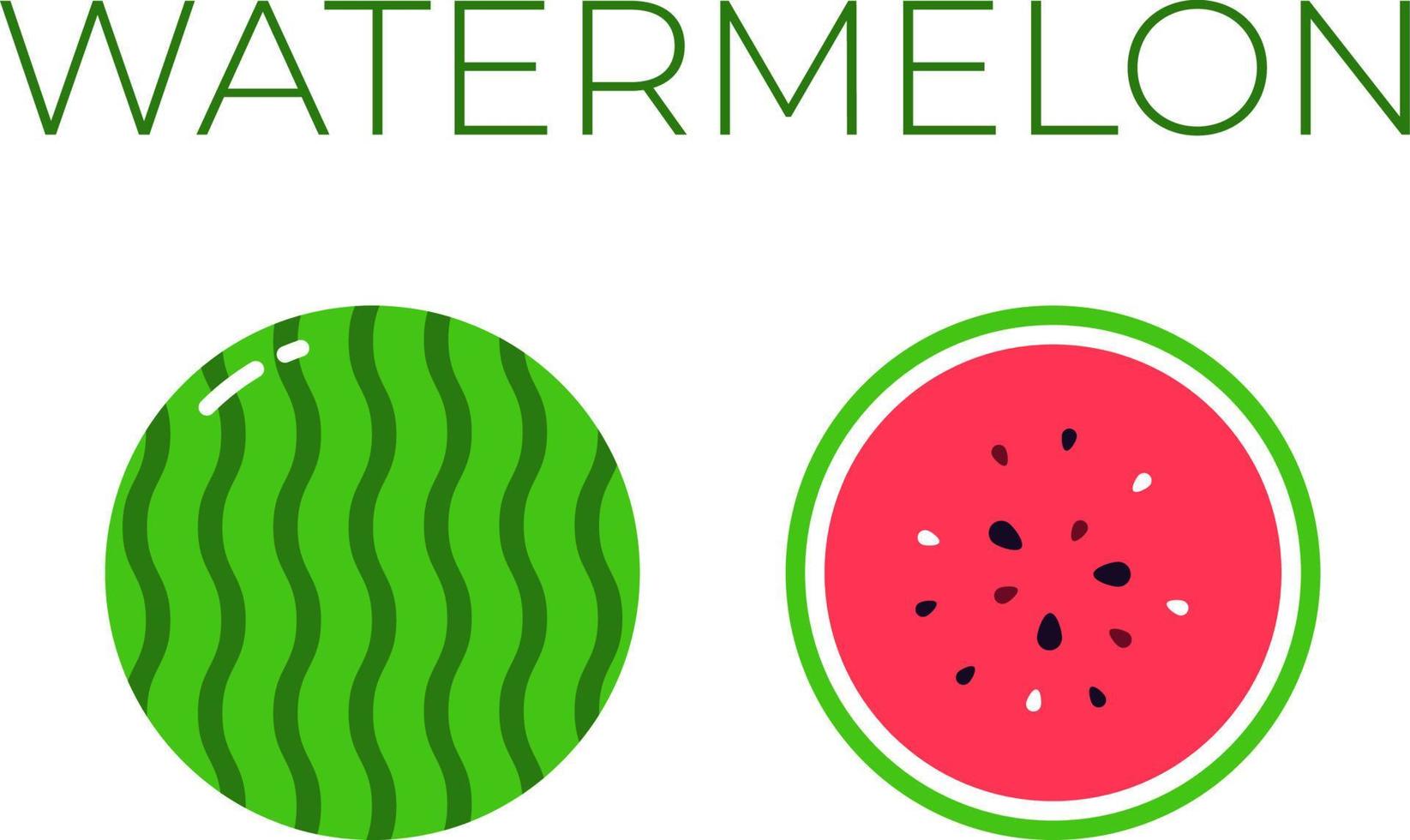 Watermelon and sliced half of watermelon with fruit name above. Vitamin citrus fruit. Flat isolated vector on white background