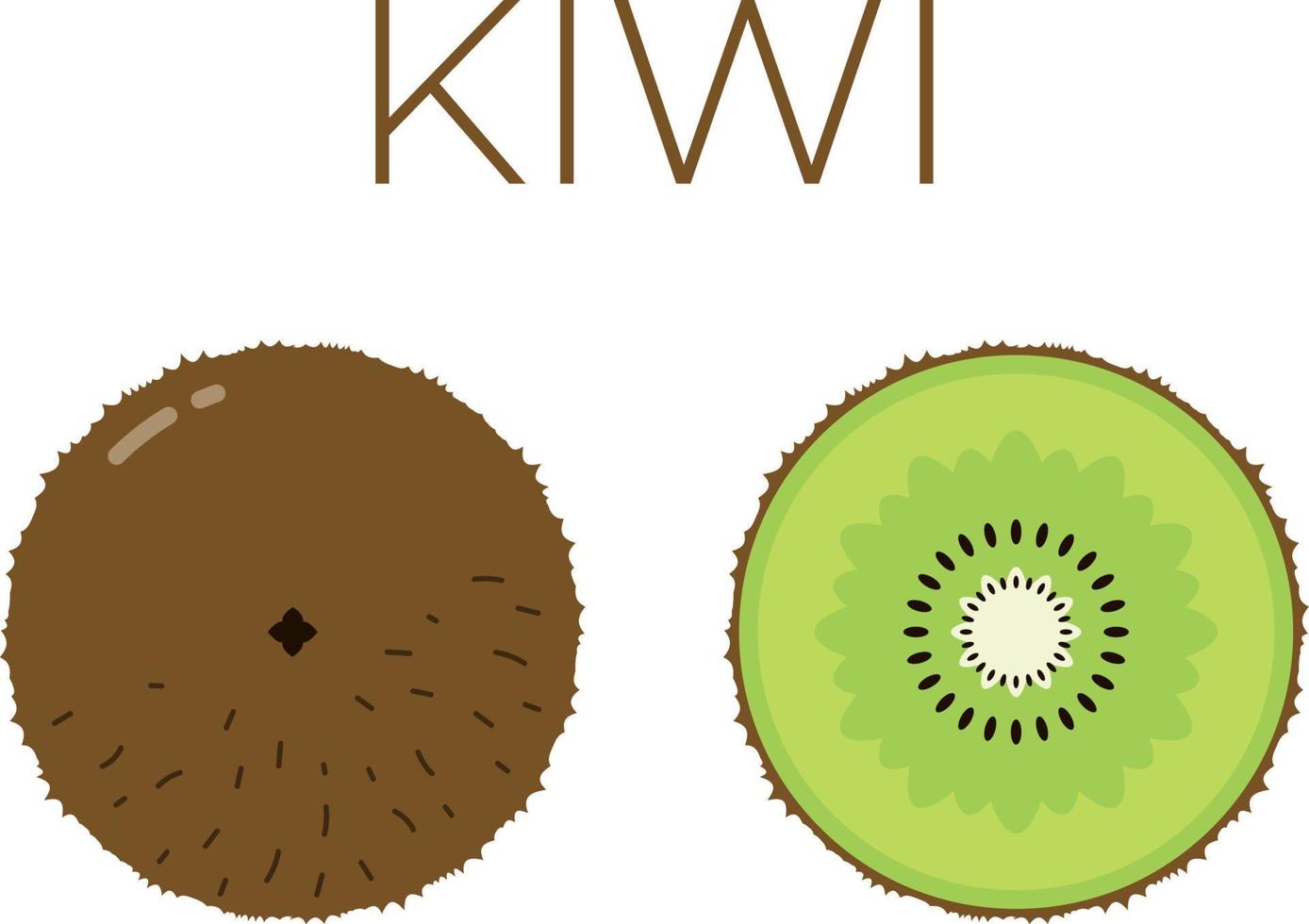 Kiwi and sliced half of kiwi with fruit name above. Vitamin citrus fruit. Flat isolated vector on white background