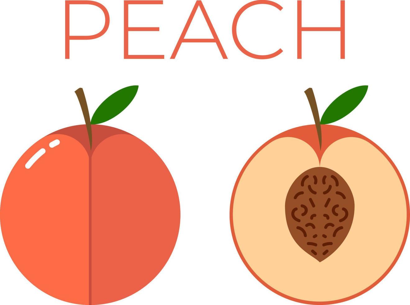 Peach and sliced half of Peach with fruit name above. Vitamin citrus fruit. Flat isolated vector on white background