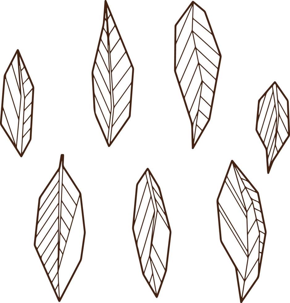 Hand drawind geometrical leaves, Ylang-Ilang leaves line art, set of isolated symbols, coloring book template. vector