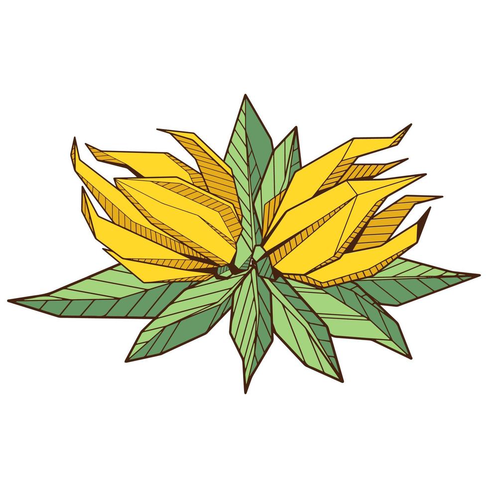 Colored hand drawind geometrical blossoming flower, Ylang-Ilang bud line art, set of isolated symbols, coloring book template. vector