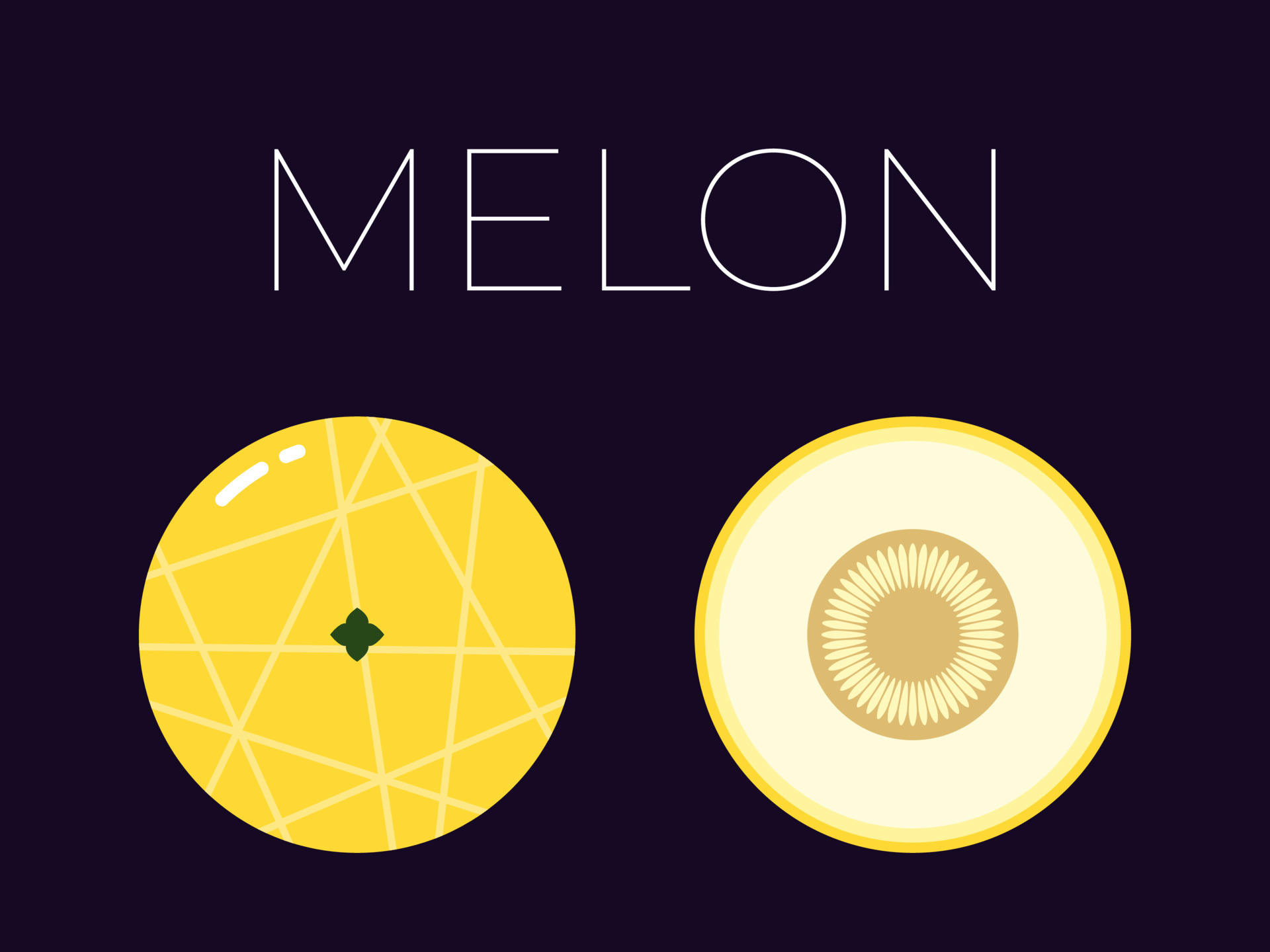 Melon and sliced half of Melon with fruit name above. Vitamin citrus