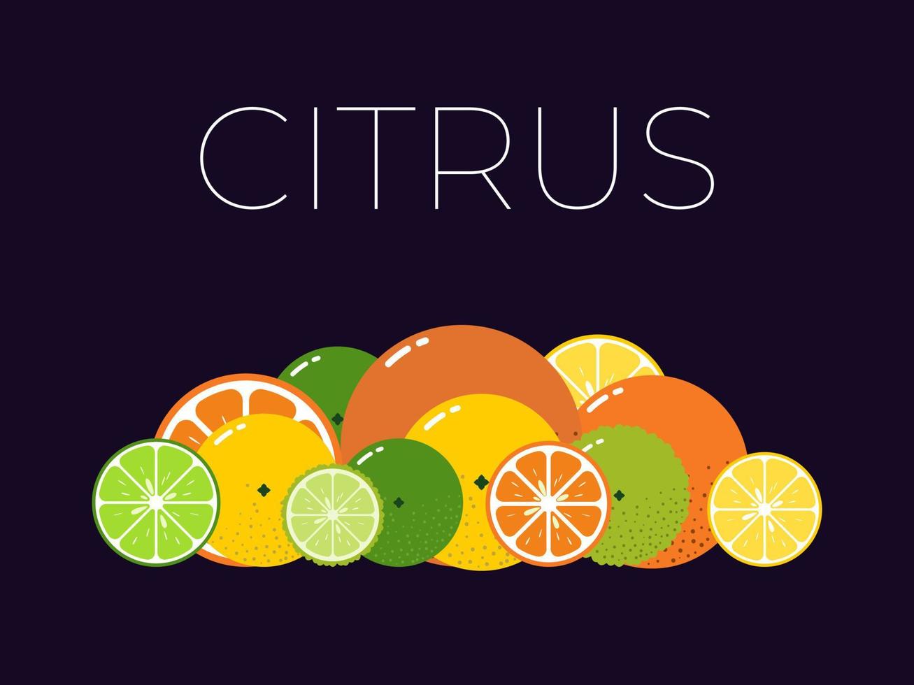 Citrus Fruits pack and sliced half of Citrus. Vitamin fresh fruits kit. Flat isolated vector on dark background