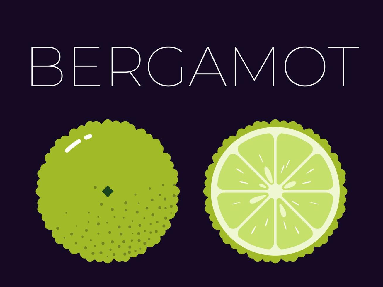 Bergamot and sliced half of bergamot with fruit name above. Vitamin citrus fruit. Flat isolated vector on dark background