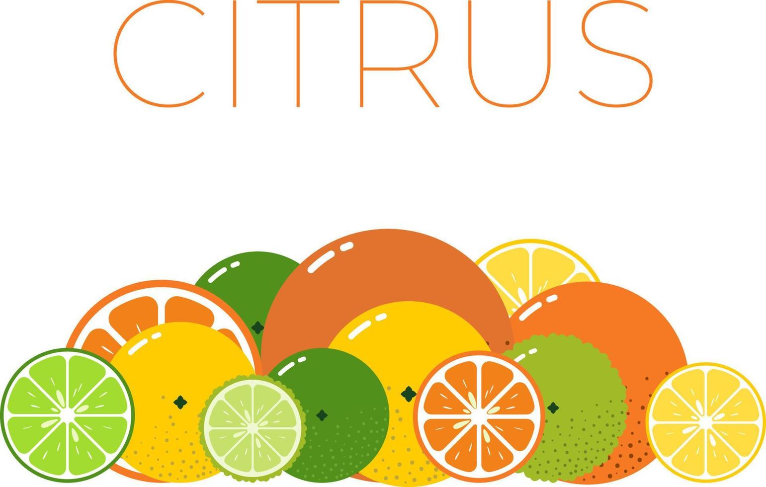 Citrus Fruits pack and sliced half of Citrus. Vitamin fresh fruits kit. Flat isolated vector on white background