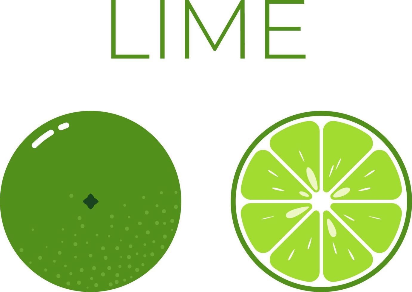 Lime and sliced half of lime with fruit name above. Vitamin citrus fruit. Flat isolated vector on white background