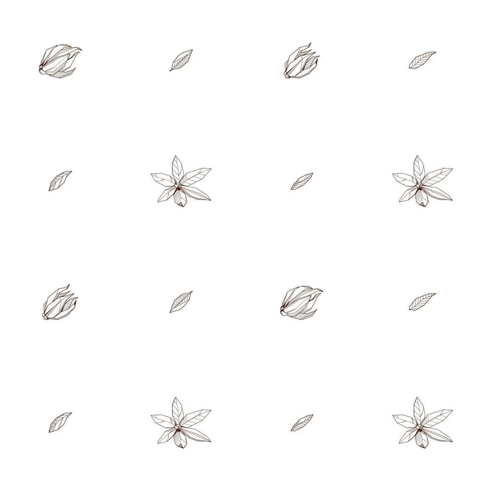 Oriented Seamless pattern with Outlined hand drawind geometrical blossoming flower. Ylang-Ilang textile vector print