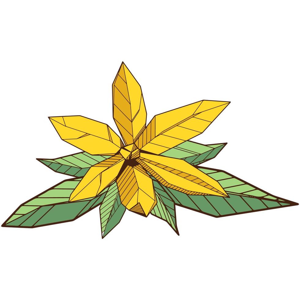 dibujo a mano de color flor floreciente geométrica, arte de línea de ylang-ilang bud, conjunto de símbolos aislados, plantilla de libro de colorear. vector
