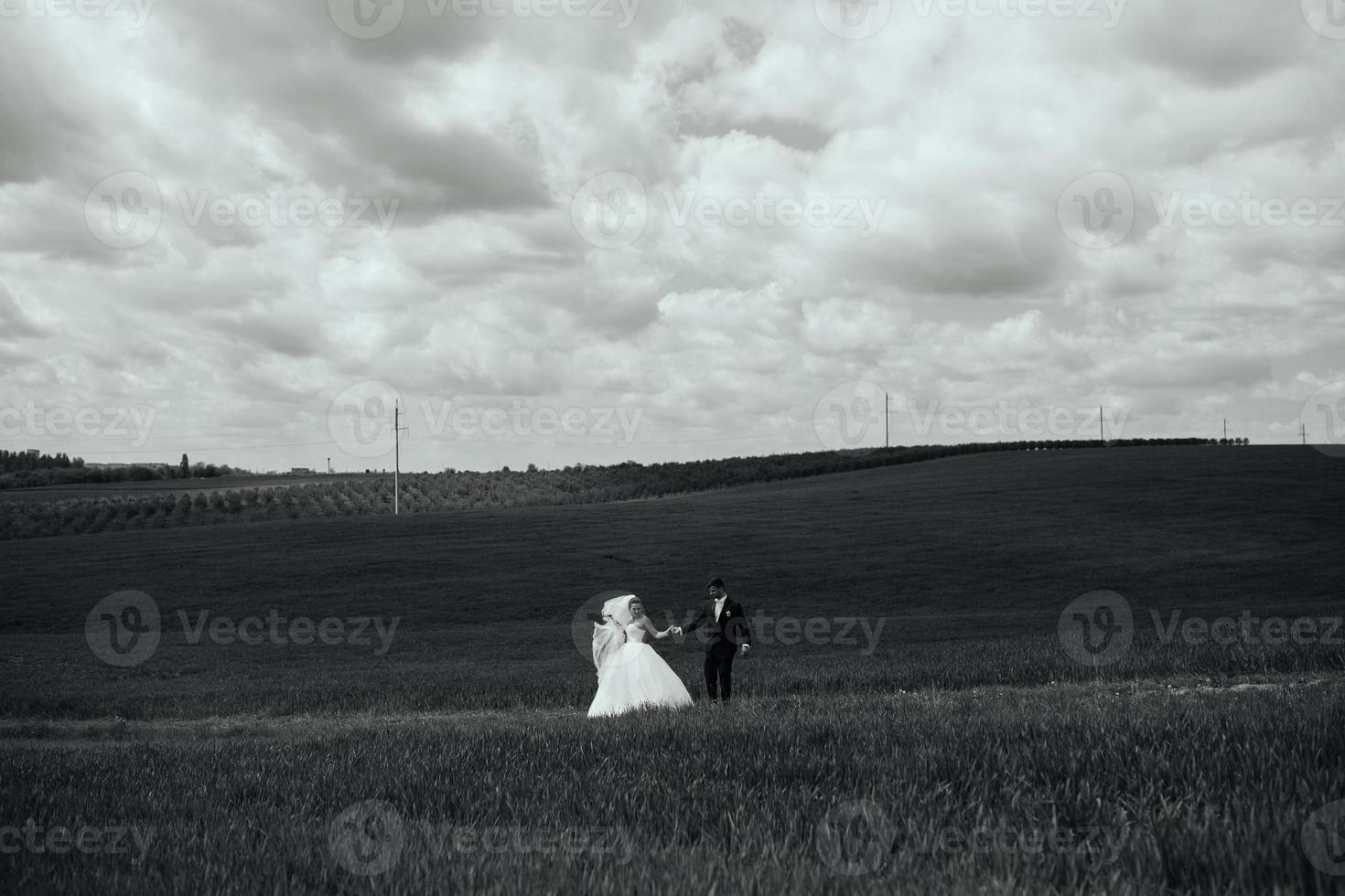 Beautiful wedding couple on nature photo