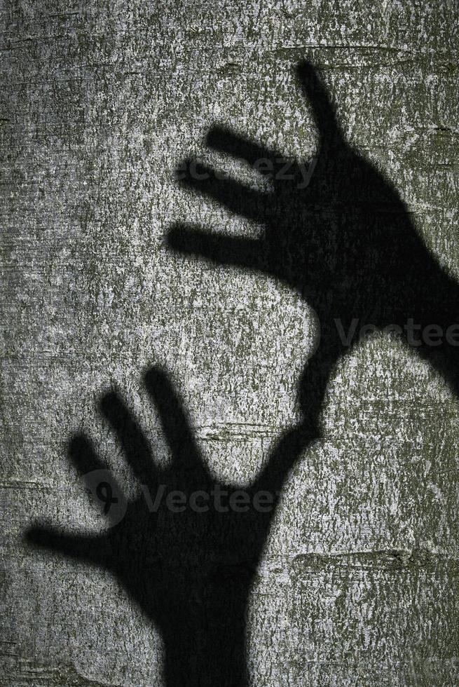 Two shadows hands photo