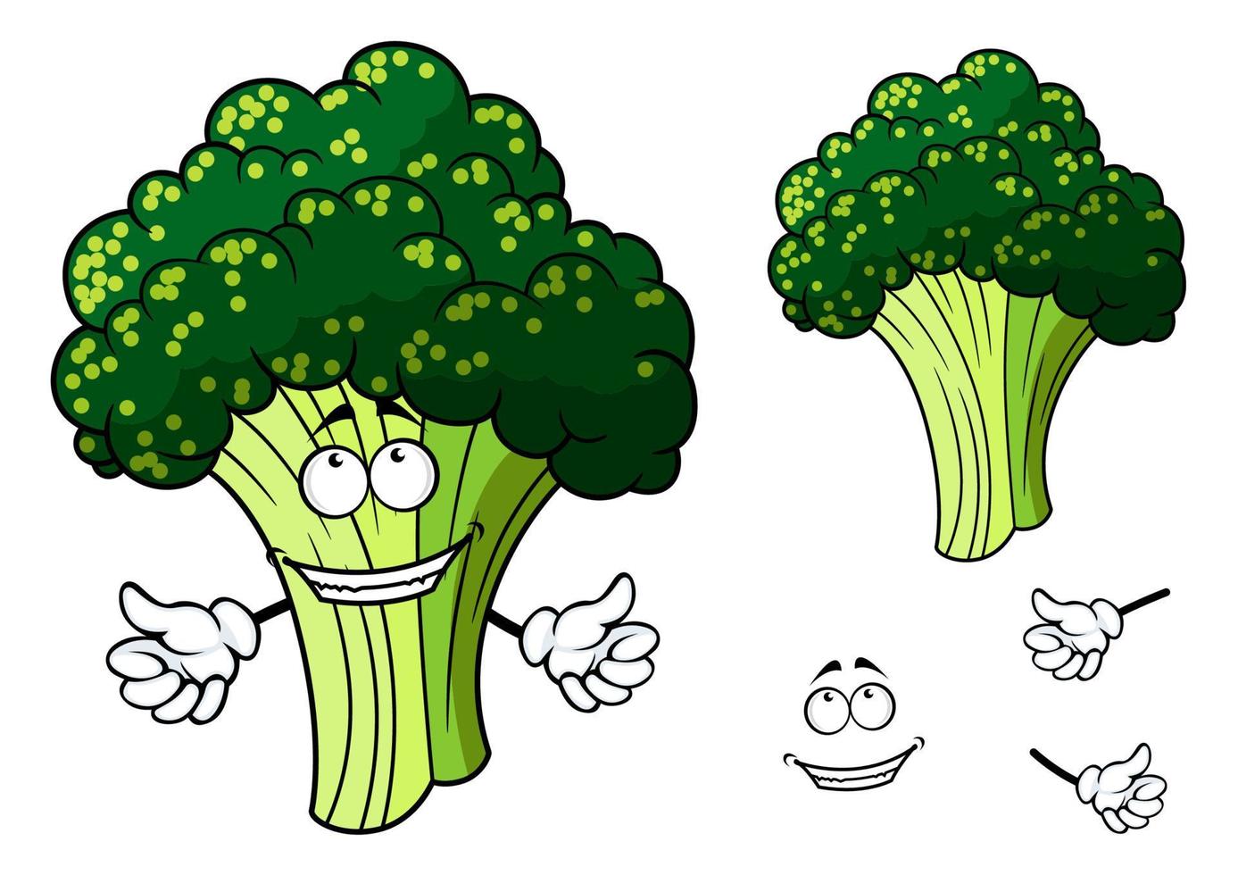 Happy fresh cartoon broccoli giving a thumbs up vector