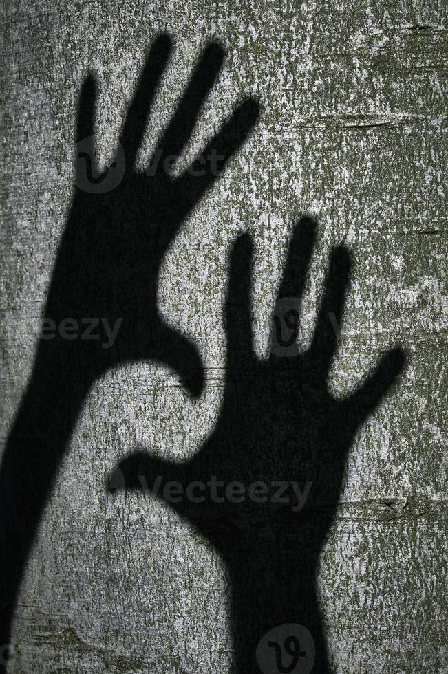 Two shadows hands photo