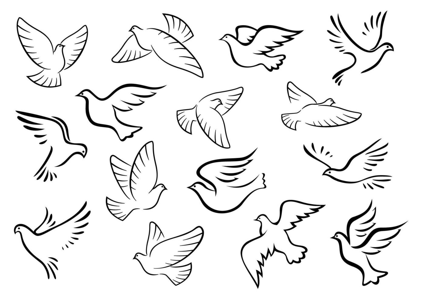 Pigeon and dove birds silhouettes vector