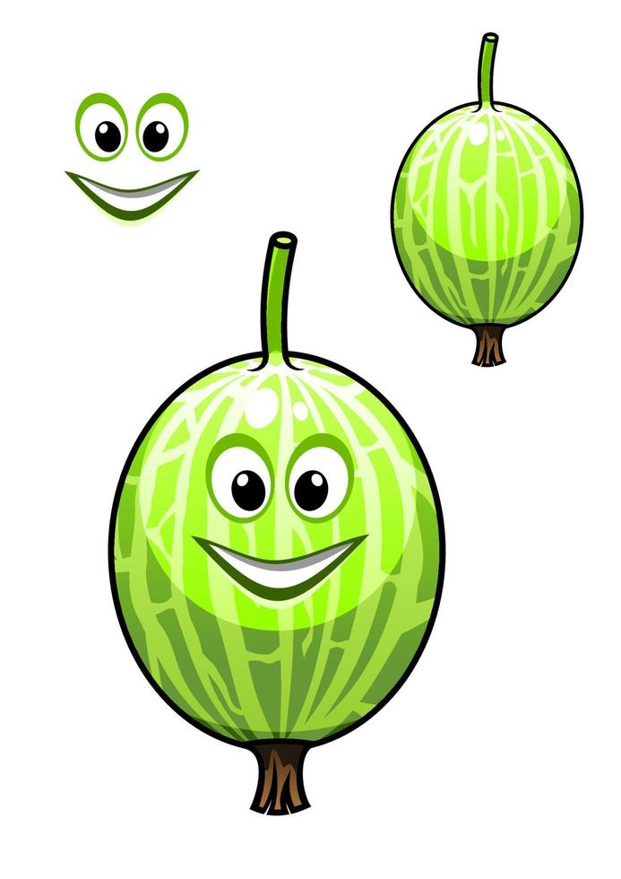 Happy smiling fresh Chinese gooseberry vector