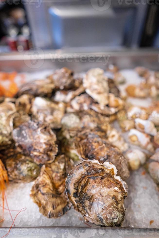 Fresh closed oysters on counter with ice photo