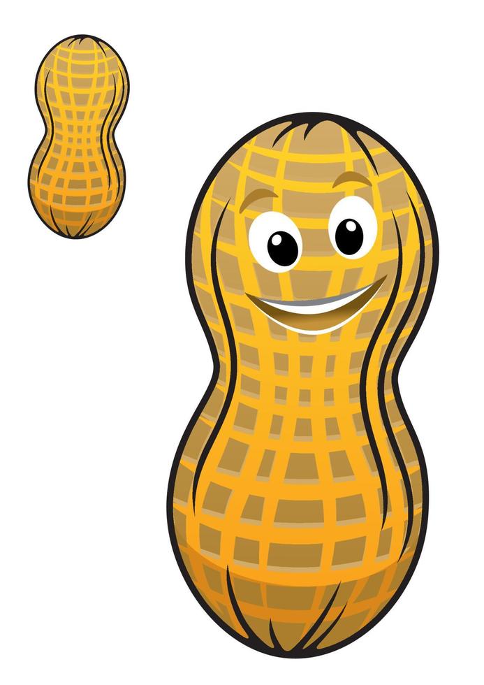 Cartoon peanut in shell vector