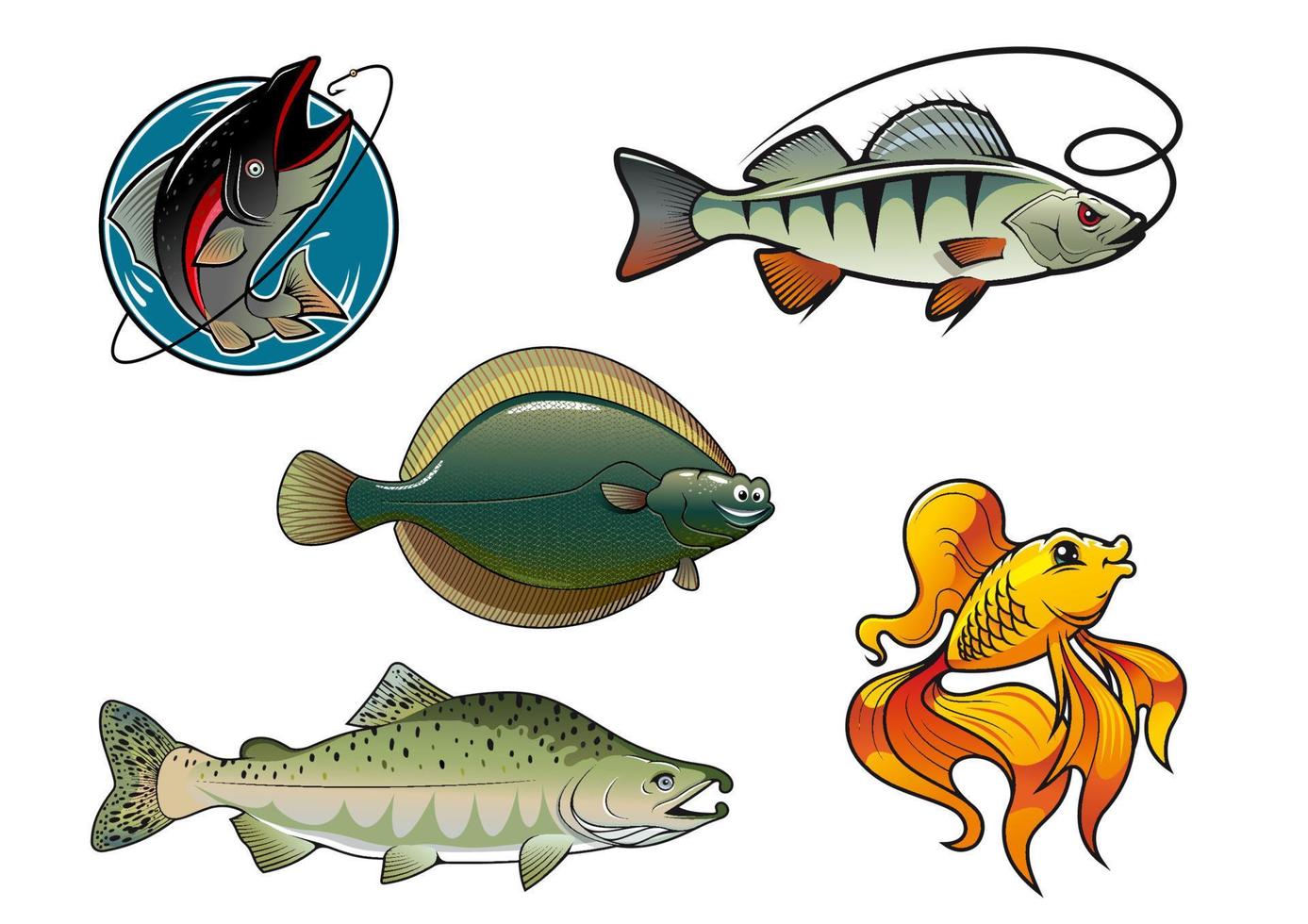 Salmon, flounder, perch and goldfish vector