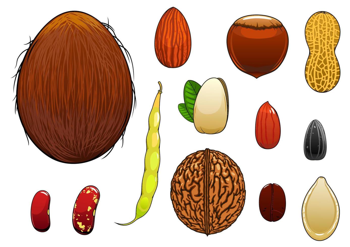 nueces, semillas y frijoles realistas en estilo de dibujos animados vector