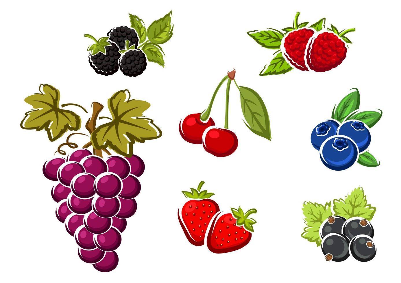 Sweet ripe isolated berries and fruits vector