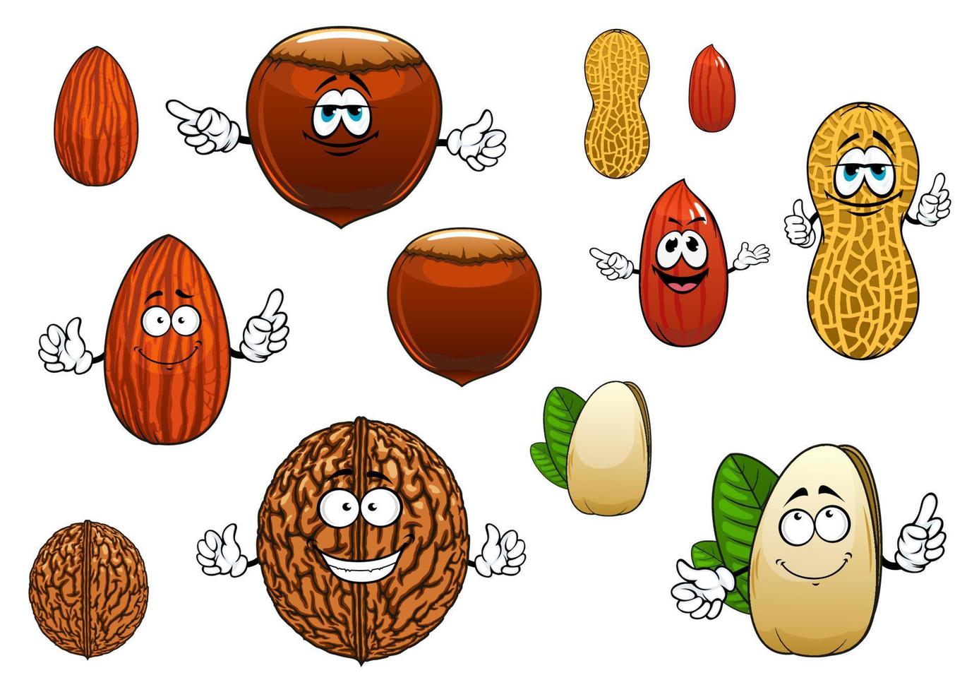 dibujos animados aislados divertidos personajes de nueces vector