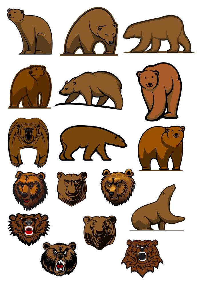 Grizzly or brown bear characters set vector