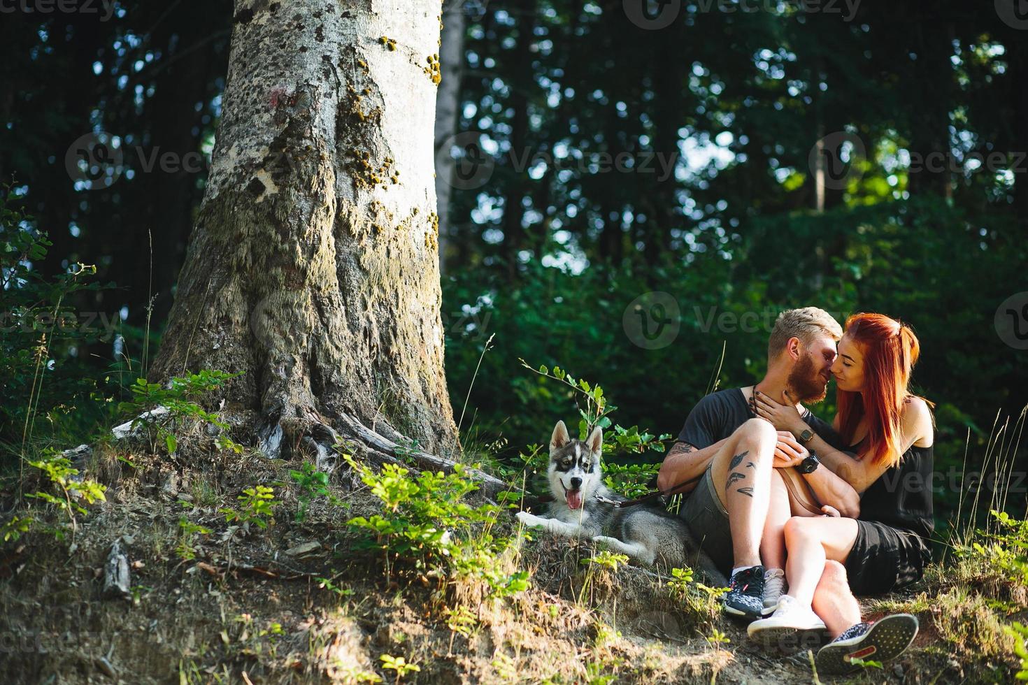 beautiful couple sitting in a forest near the tree photo