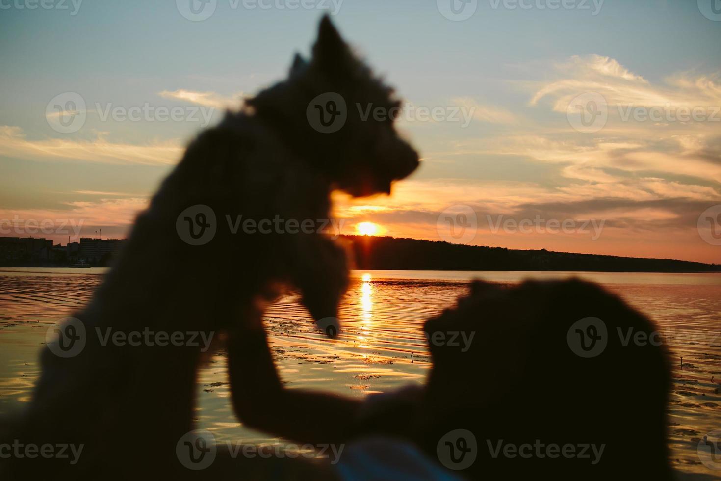 Girl and dog on the lake photo