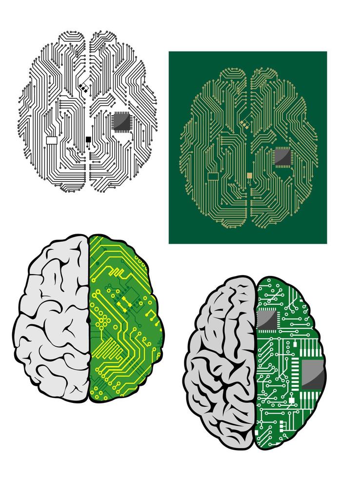 cerebro humano con placa base de computadora vector