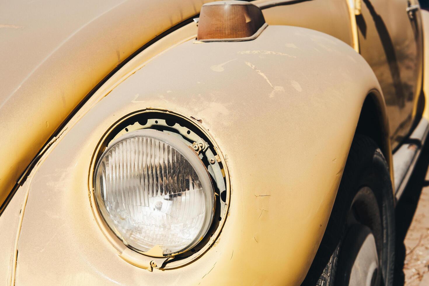 Volkswagen Beetles from the seventies photo