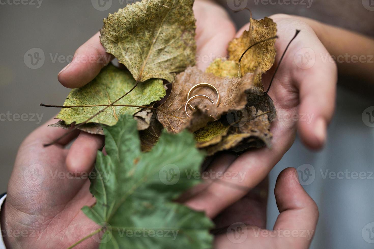 novia y novio con anillos de boda y hojas de otoño en las manos foto