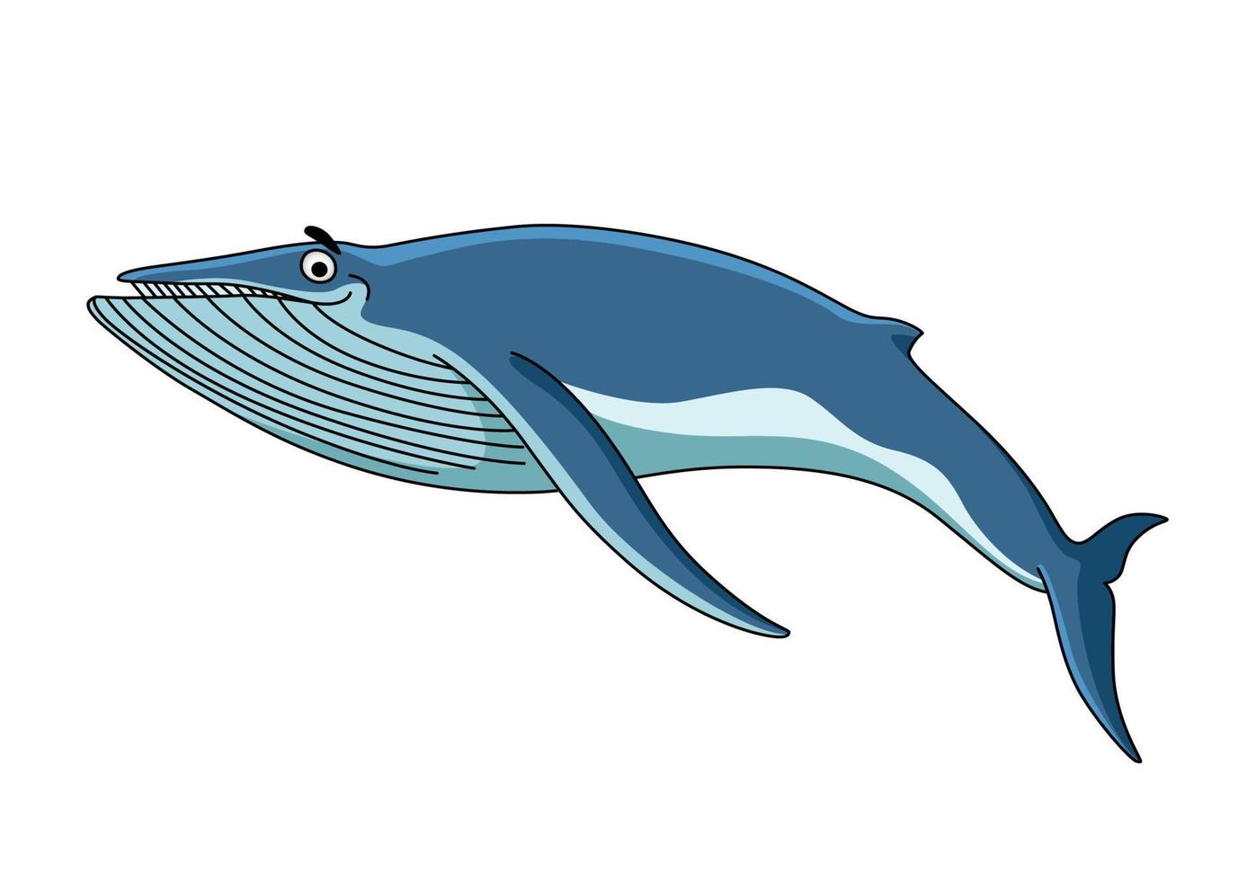 Big blue baleen whale vector