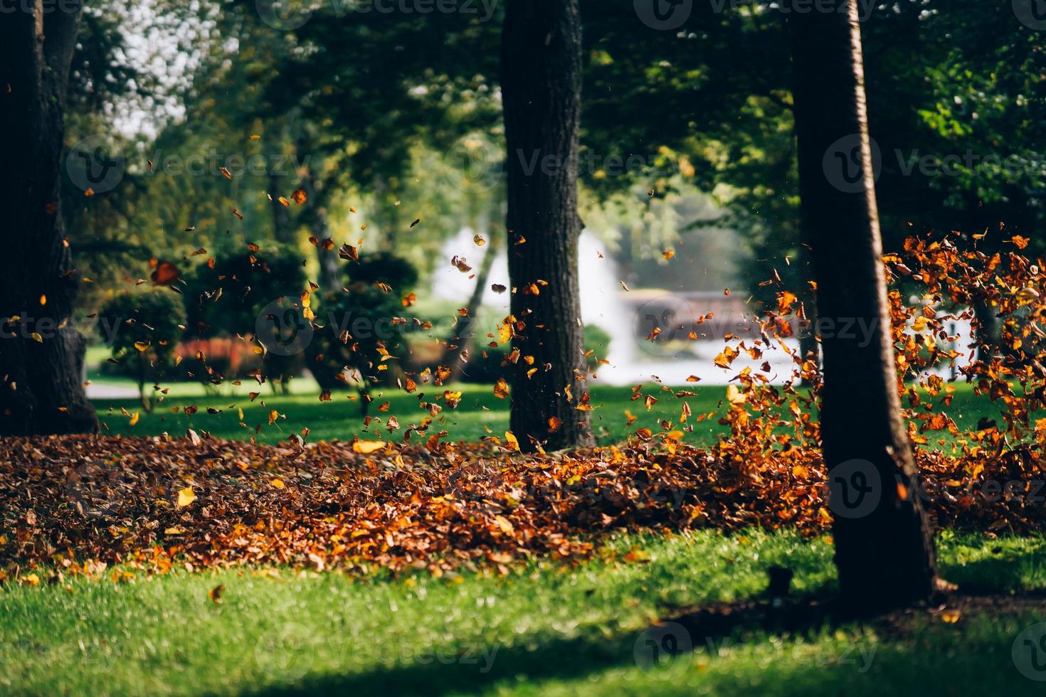 A woman operating a heavy duty leaf blower. photo