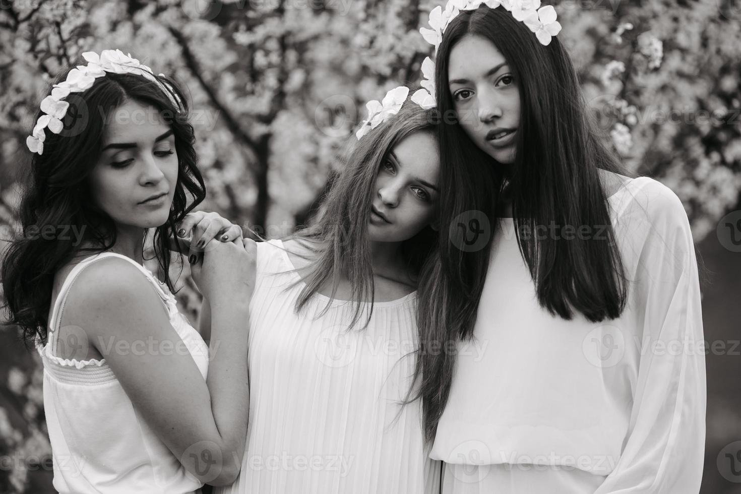 tres chicas encantadoras en un jardín foto