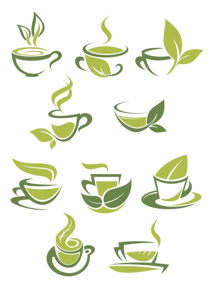 Collection of green or organic tea icons vector