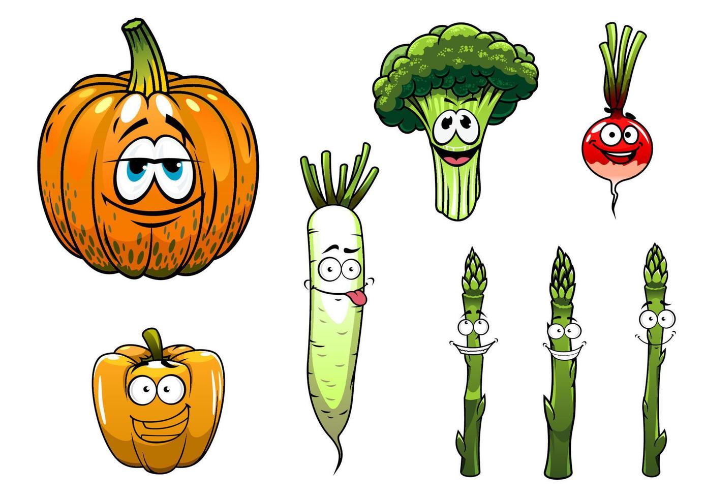 Broccoli, asparagus, radish,pumpkin and pepper vegetables vector