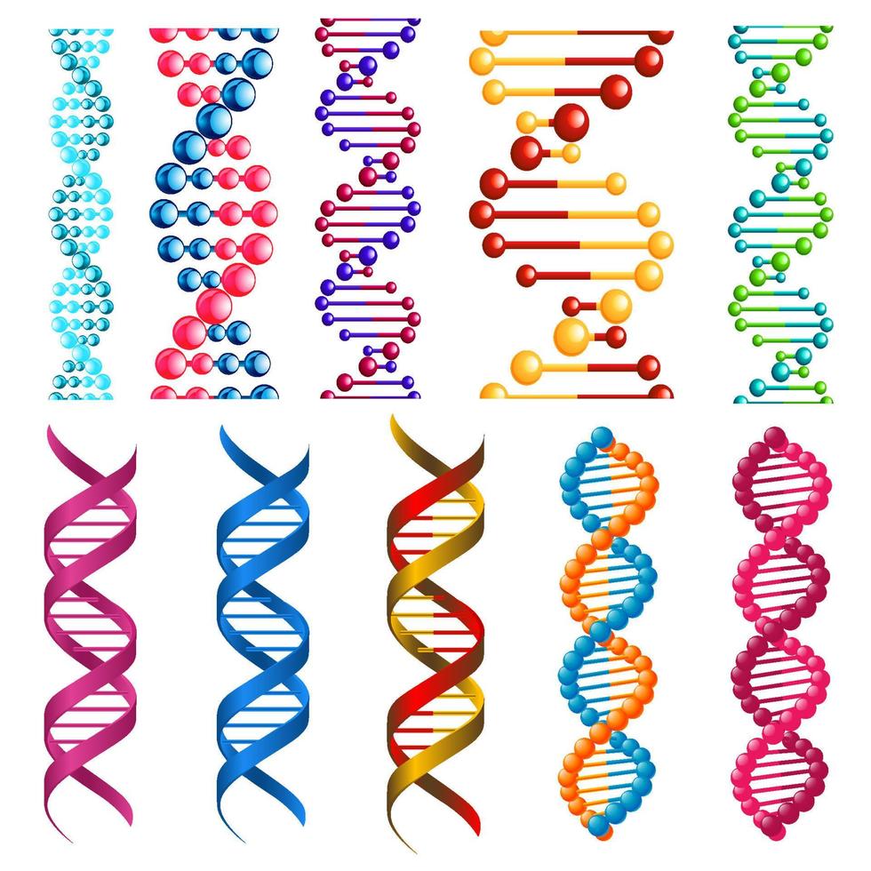 Colorful DNA molecules and cells vector