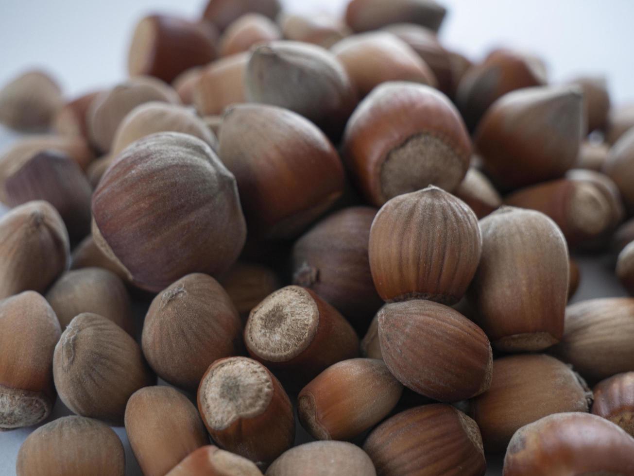 Hazelnuts isolated on white background photo
