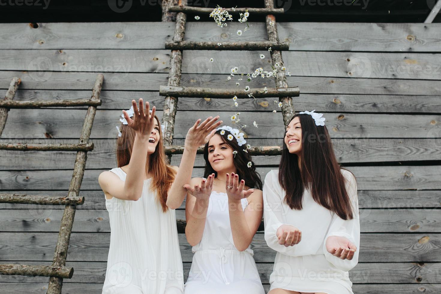 Three charming girls  near a wooden house photo