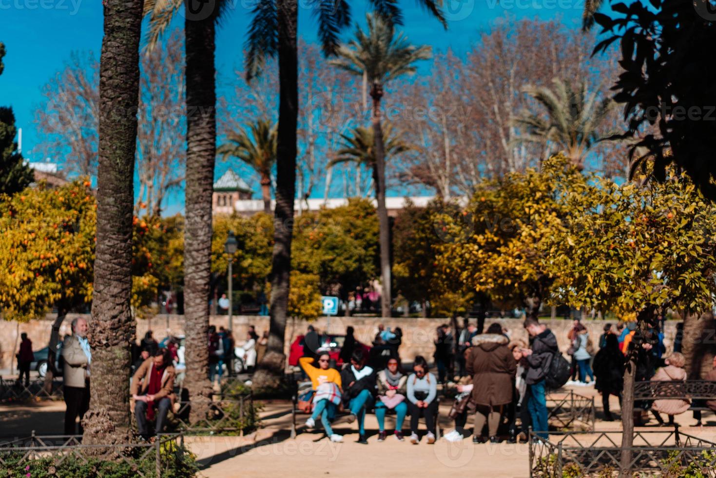 People are resting in the park photo