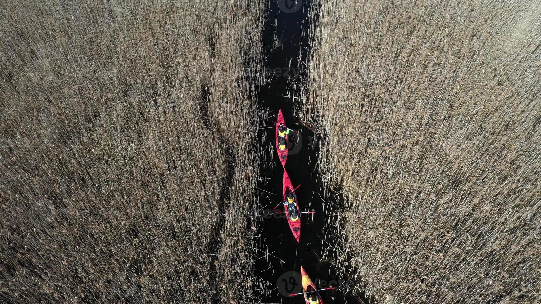 Group of people in kayaks among reeds on the autumn river. photo