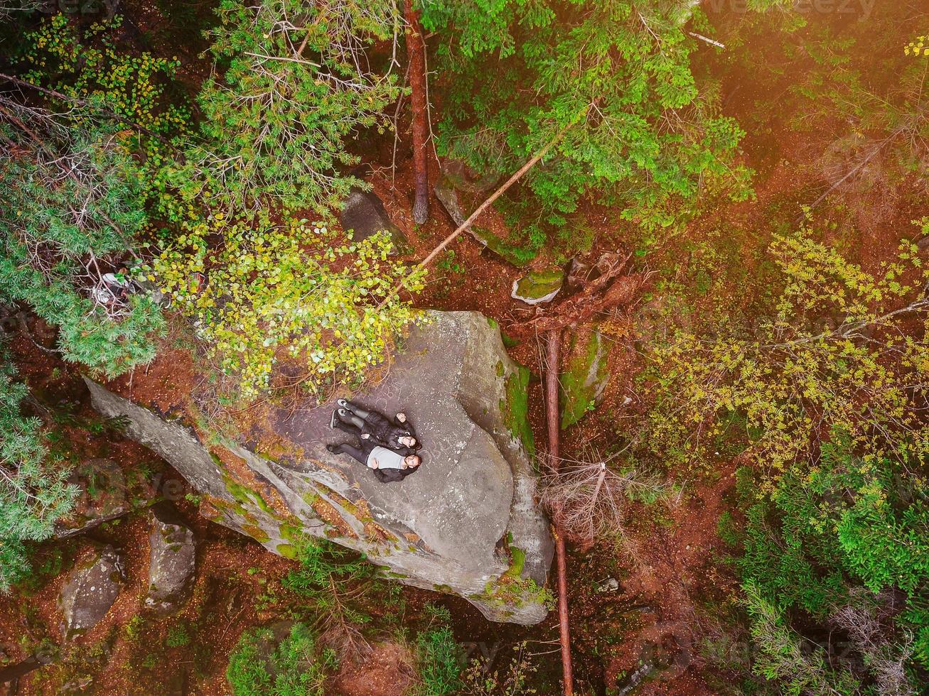 Top down aerial drone image of a forest. photo