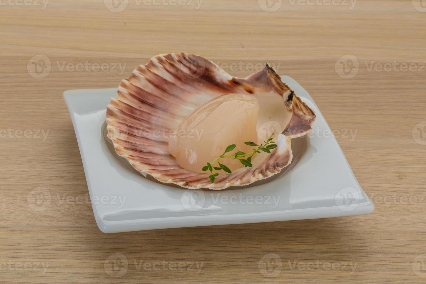 Raw scallops on the plate and wooden background photo