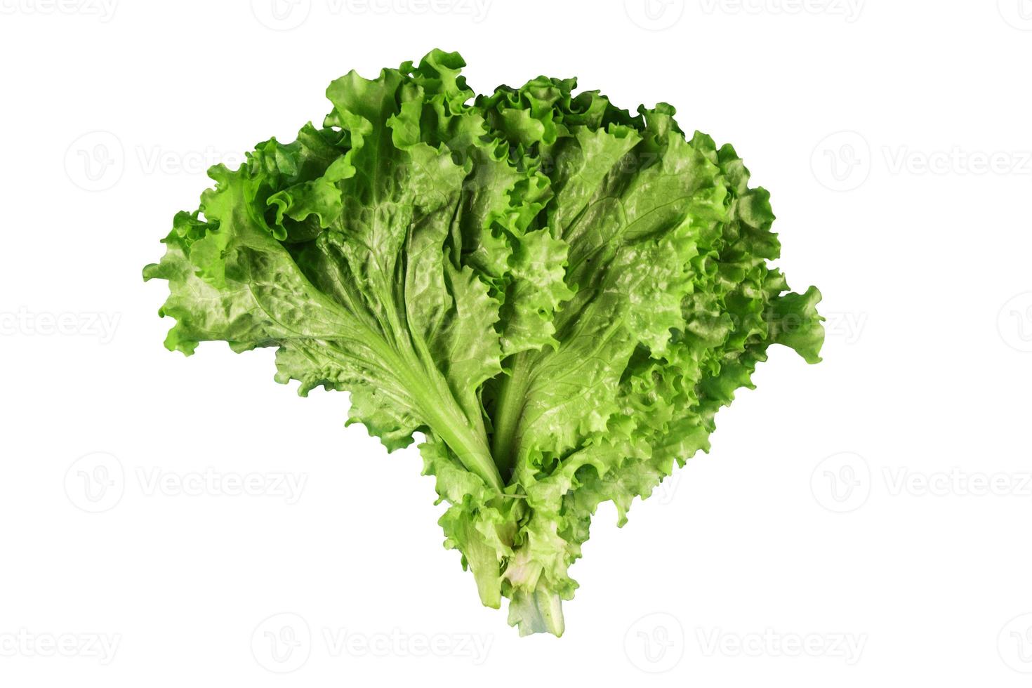 Fresh lettuce leaves on white background photo