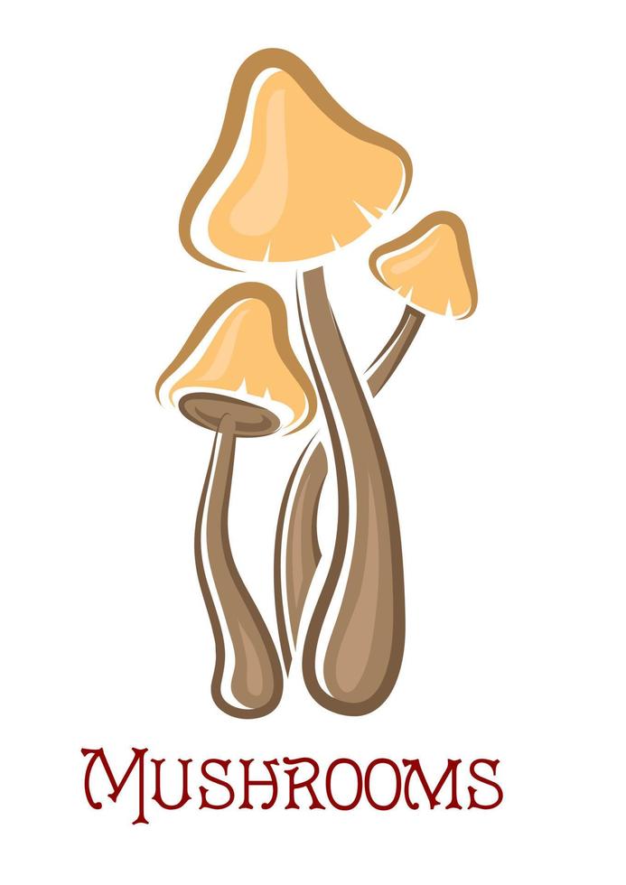 Cartoon forest mushrooms vector
