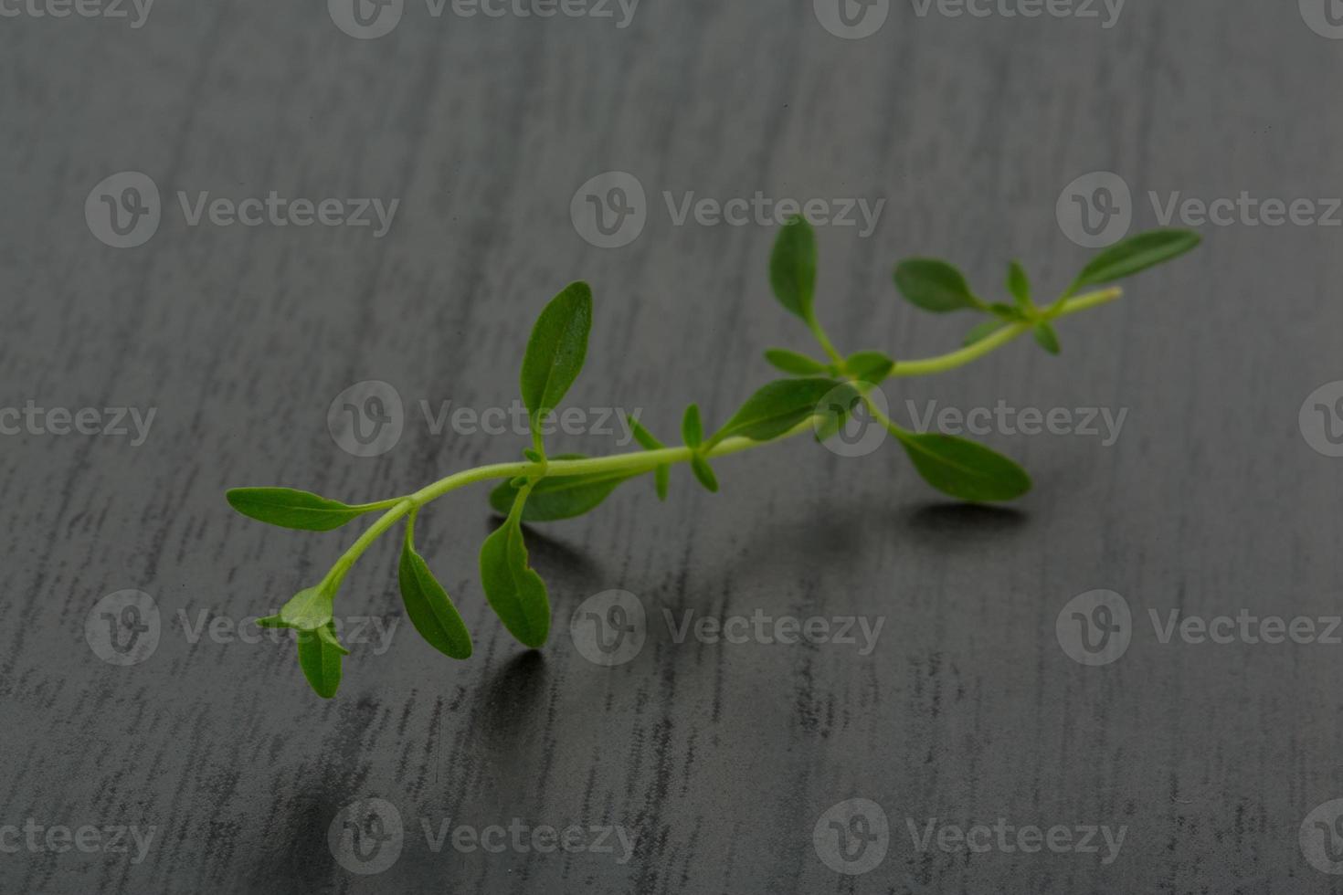 Thyme on wooden background photo