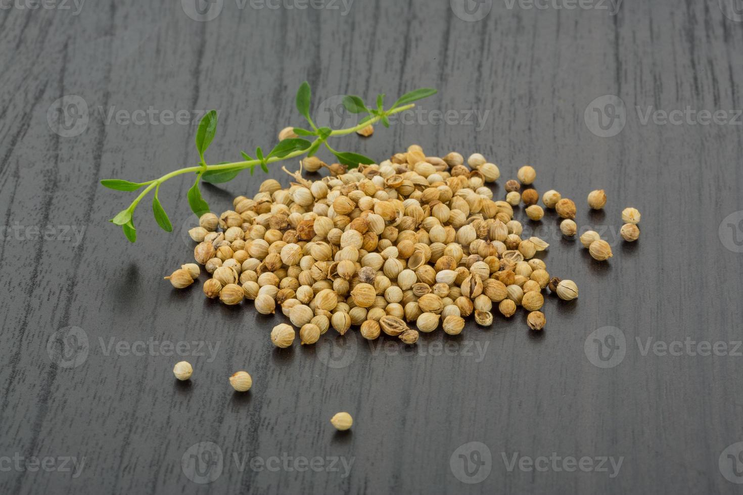 Coriander seeds on wooden background photo