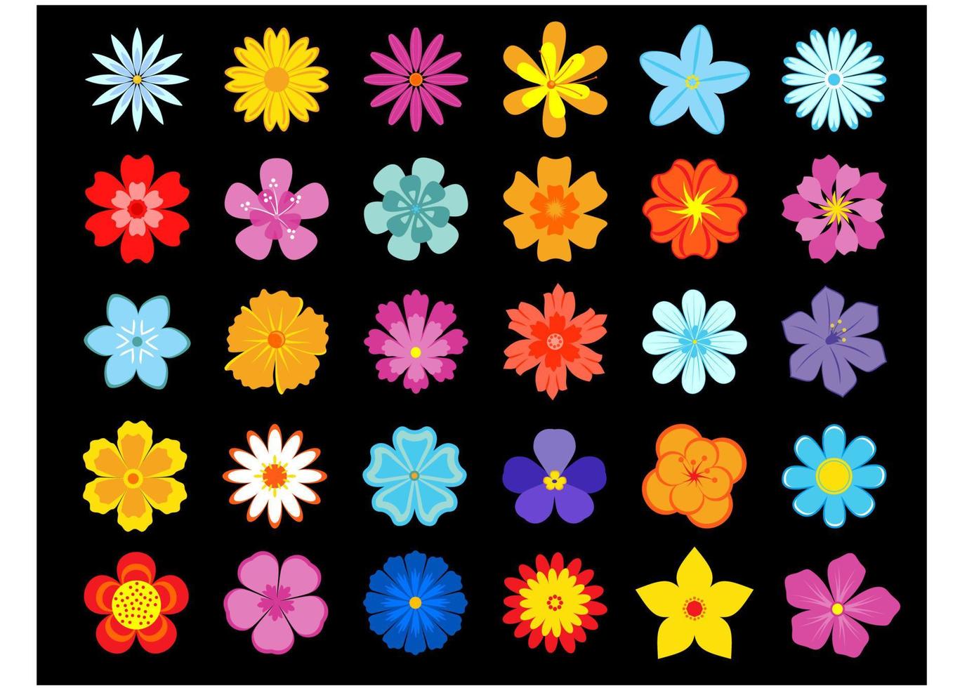 Top view of colorful blooming flowers vector